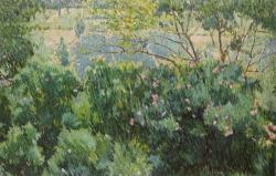 Ларионов М.Ф. Розовый куст. 1904